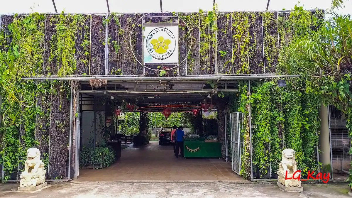 Hoteles cerca de Orchidville