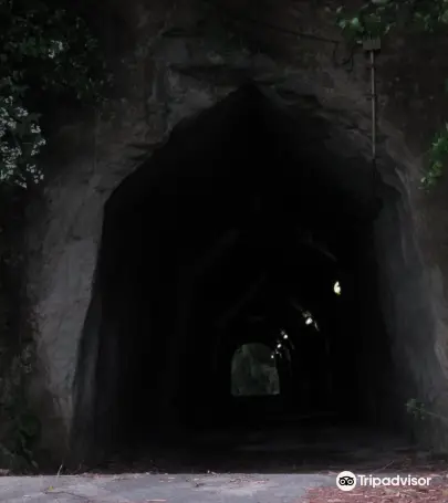 21市原市旅遊攻略 市原市好去處 市原市觀光景點21 Trip Com