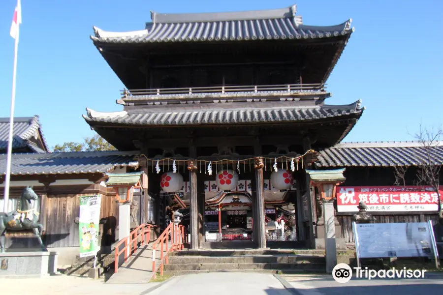 Koinoki Shrine