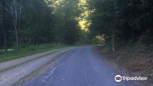 Pine Creek Rail Trail