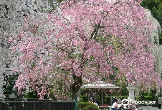 健康 旬彩之宿酒店守田
