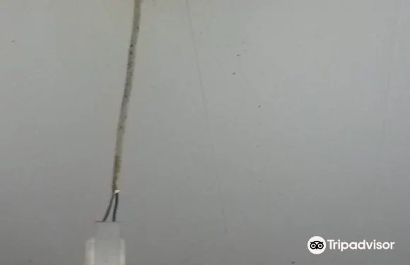 薩莫克別墅酒店