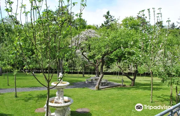 萊茵巴赫瓦爾德酒店