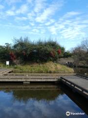 清瀬金山緑地公園