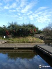 기요세가나야마 녹지공원