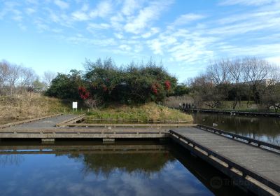 清瀬金山緑地公園