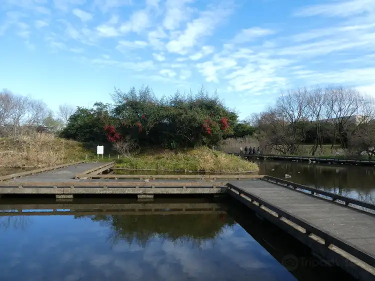Hotels near Kiyose Kanayama Green Space Park