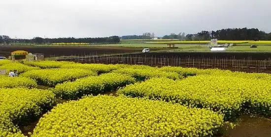 Các khách sạn ở Yokohama