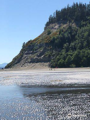 Double Bluff County Park