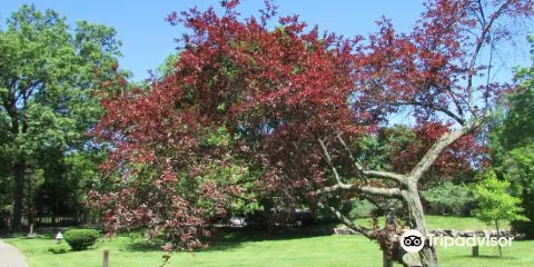 Japanese Cultural Center