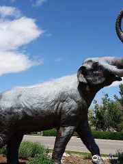 Washakie Museum & Cultural Center