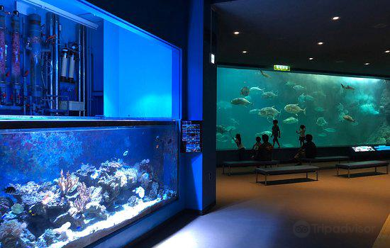 Wakayama Prefectural Museum of Natural History