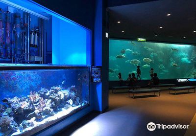 Wakayama Prefectural Museum of Natural History