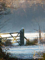 Sevenoaks Wildlife Reserve