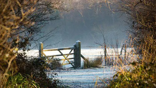 Sevenoaks Wildlife Reserve