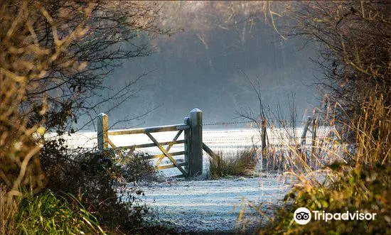 Sevenoaks Wildlife Reserve - Kent Wildlife Trust