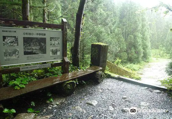 小杉谷集落跡