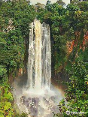 Thomson Falls