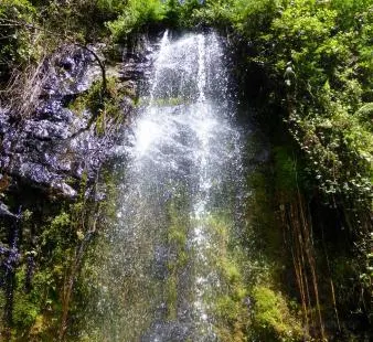 Waterfalls Inn Tigoni