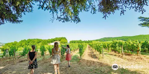 Clos Triguedina Jean-Luc Baldes