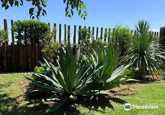 Jardin Botanico El Arboreto