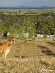 Alkoomi Adventure Farmstay and Campground