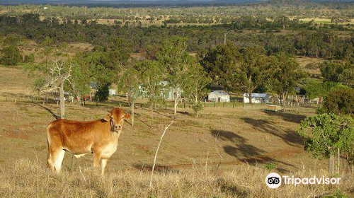 Alkoomi Adventure Farmstay and Campground