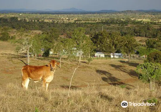 Alkoomi Adventure Farmstay and Campground