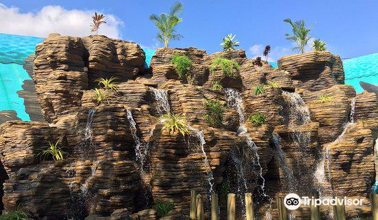 Planet Earth Aquarium & Pets Park