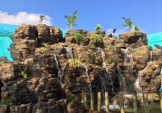 Hotels near Planet Earth Aquarium & Pets Park