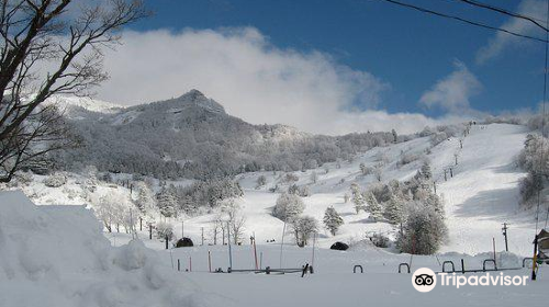 山田牧場、YAMABOKUワイルドスノーパーク