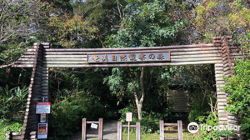 奄美群島国立公園ビジターセンター 奄美自然観察の森