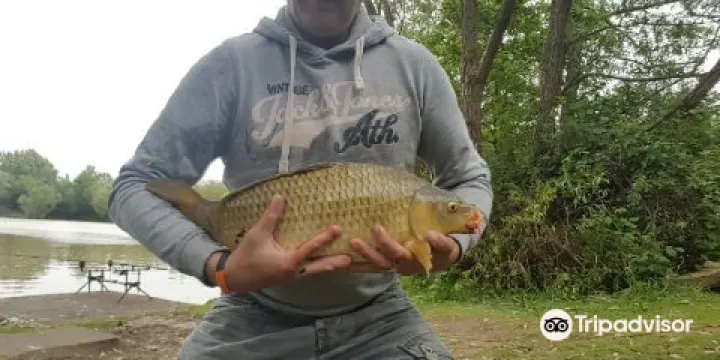 Packington somers fishery