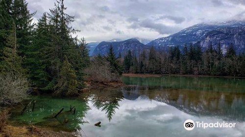 Squamish Estuary