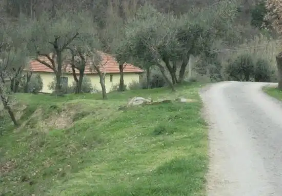 Hotels in Stella