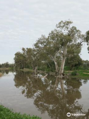 Tiger Bay Wetlands