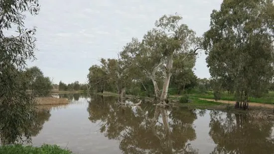 Tiger Bay Wetlands