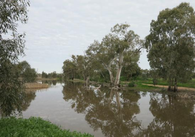 Tiger Bay Wetlands