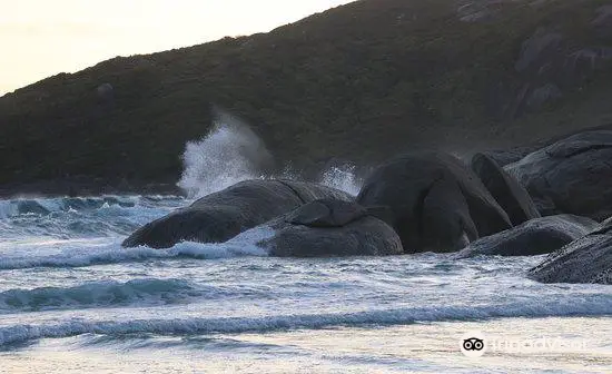 Lowlands Beach