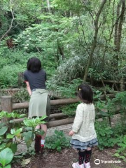 横濱自然觀察之森