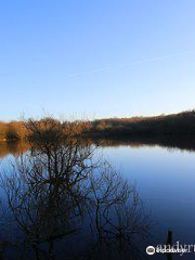 Epsom Common