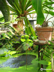 Jardín Botánico de la Universidad de Lieja