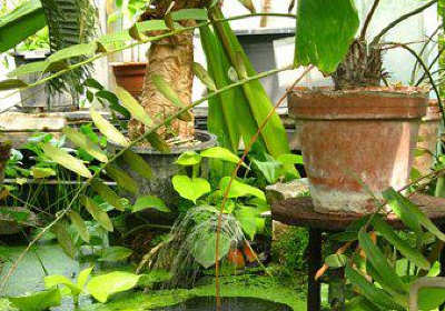 Jardín Botánico de la Universidad de Lieja