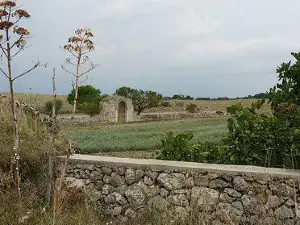 Parc national de l'Alta Murgia