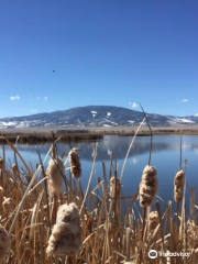 Monte Vista National Wildlife Refuge