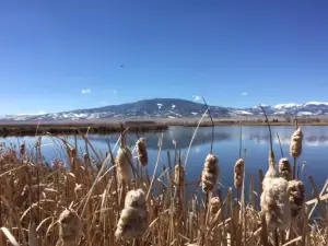 Monte Vista National Wildlife Refuge