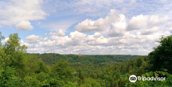 4_Gauja National Park