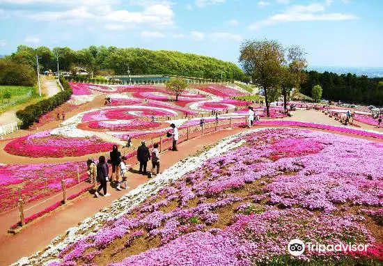 みさと芝桜公園