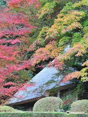 요시미즈엔 정원