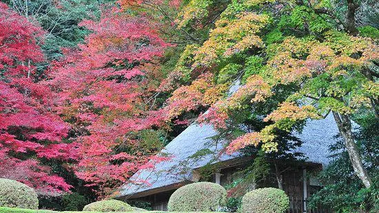 요시미즈엔 정원